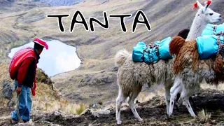 TANTA: El SECRETO mejor guardado de LIMA, la Tierra de los ARRIEROS 🦙