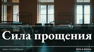 Сила прощения (Свидетельство)