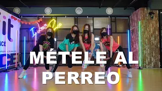 일산줌바 [ILOVEDANCE]  MÉTELE AL PERREO  /  Daddy Yankee  /  CINDY