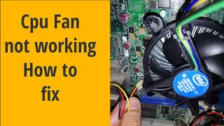 Cpu Fan not working/ spinning | How to fix |