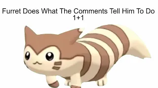 Furret Does What The Comments Tell Him To Do 11