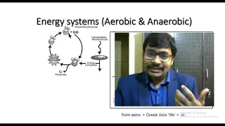 Wingate Anaerobic Test / Understanding of Anaerobic power test