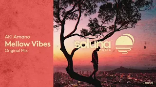 AKI Amano - Mellow Vibes [Soluna Music]