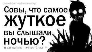 Совы, что самое жуткое вы слышали?