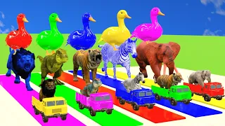 Cow Elephant Tiger Lion T-Rex  Wild Animals Escape Cage Game Challenge Crossing Fountain