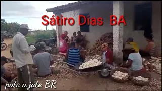 Raspagem de mandioca em Sátiro Dias BA