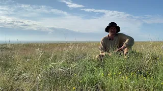 Содержание канареек, клетка, лампа,  одиночное содержание, какую породу лучше выбрать.