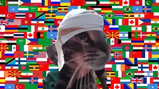 Cat Meows in different languages memes/part 2