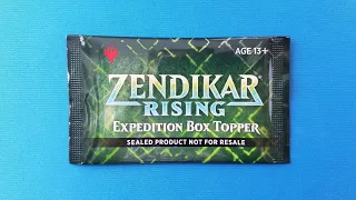 Fancy Land? - Zendikar Rising Expedition Box Topper Pack Opening #MTG #Shorts