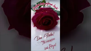 Добрый вечер дорогая Люба!🌹💖🌹