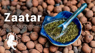 Zaatar | Receita Completa