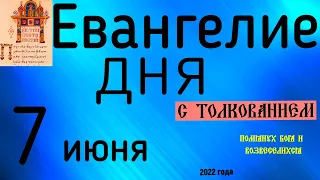 Евангелие дня с толкованием  7 июня  2022 года