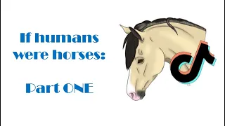 If humans acted like horses: Part 1