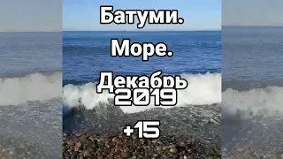 Батуми. Море. Декабрь 2019 +15