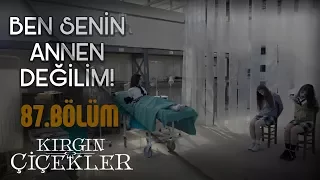 Defne, Eylül ve Cemre organ mafyasının elinde! - Kırgın Çiçekler 87.Bölüm