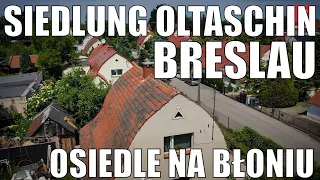 Osiedle na Błoniu w Ołtaszynie, czyli Siedlung Oltaschin