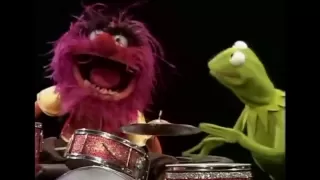 Os Muppets - Caco entrevistando Animal.