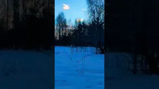 ❄️❄️❄️ Юрий Шатунов каждый день поёт ❄️❄️❄️