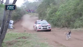 Задавил собаку? Mitsubishi Lancer Evolution RALLY VIDEO Rally Car Jumps Over Dog