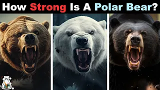 How Strong is a Polar Bear Compared to Other Bears