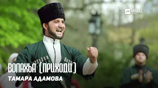 Тамара Адамова - Волахьа (Приходи) | KAVKAZ MUSIC CHECHNYA