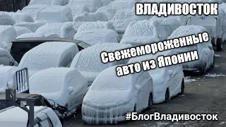 Свежемороженные авто из Японии привезли во Владивосток. Обледенелые машины в порту. #блогвладивосток