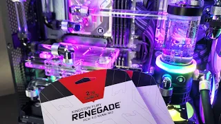 How Fast?!? KINGSTON FURY RENEGADE PCIe 4.0 NVMe M.2 Drives