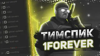 ТимСпик моей команды 1Forever