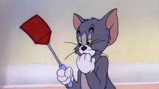 Tom & Jerry   Season 2   Episode 12 Part 3 of 3   The Milky Waif