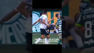 Jogador do Botafogo Tiquinho chuta a cara do zagueiro do Palmeiras Luan #palmeiras #botafogo