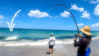 HOOKED A BEACH GIANT DURING AN EPIC BAIT MIGRATION
