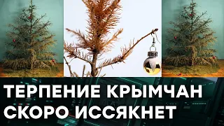 С каким настроением крымчане встретили Новый 2021 год — Гражданская оборона на ICTV