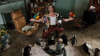 Jim Carrey -At Home- (HD) Ace Ventura