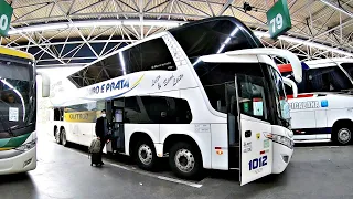 O LEITO da Ouro e Prata | SANTA ROSA para SÃO PAULO de ÔNIBUS no DD FLEX SHOW - CABINE SUPERIOR