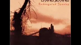 Lynyrd Skynyrd - Am I Losin' (Acoustic Version)