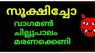 വാഗമൺ ചില്ലുപാലം ഒരു മരണക്കെണി🙄സൂക്ഷിച്ചാൽ ദുഃഖിക്കേണ്ടി വരില്ല🙄