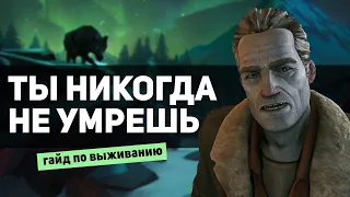 Как не умирать в The long dark? Гайд для новичков 2023