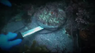 Abalone Wars: New Season