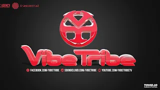 Vibe Tribe Full On Compilation by 4Nooby