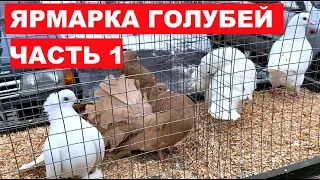 Выставка-ярмарка голубей и декоративных птиц (13.03.2021 г.Кривой Рог Украина) ЧАСТЬ 1