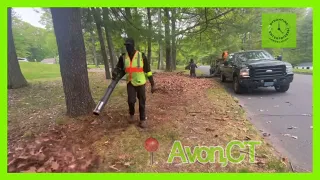 satisfying curbside leaf removal