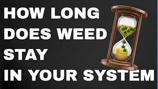 How Long Does Weed Stay in Your System According to Science? (Blood, urine, saliva, hair)