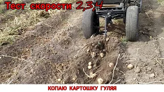 ПРОСТАЯ ЛАПА,А КОПАТЬ КАРТОШКУ ОДНО УДОВОЛЬСТВИЕ/ УРОЖАЙ 2020 / ТЕСТ СКОРОСТЕЙ / КАРТОФЕЛЕКОПАЛКА