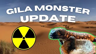 Gila Monster Update !