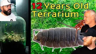 12 Year Old Terrarium - Life Inside a Closed Jar REACTION!! | OFFICE BLOKES REACT!!