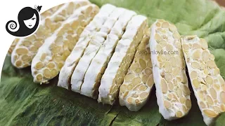 How to Make Tempeh [Homemade] - Easy Method