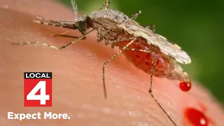 Deadly mosquito-bourne virus found in Michigan