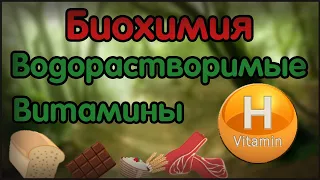 Биохимия. Лекция 19. Водорастворимые витамины. Витамин H. Биотин.