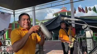 Popurrí de sones | Grupo Campero´s (Fiesta del Sombrero) - En San Sebastián Ixcapa