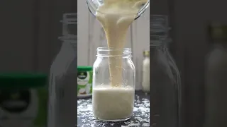 Iogurte Vegano de Coco